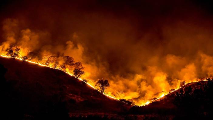 İzmir ve Manisa'da 9 orman yangını söndürüldü