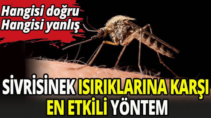 Sivrisinek ısırıklarına karşı basit yöntemler