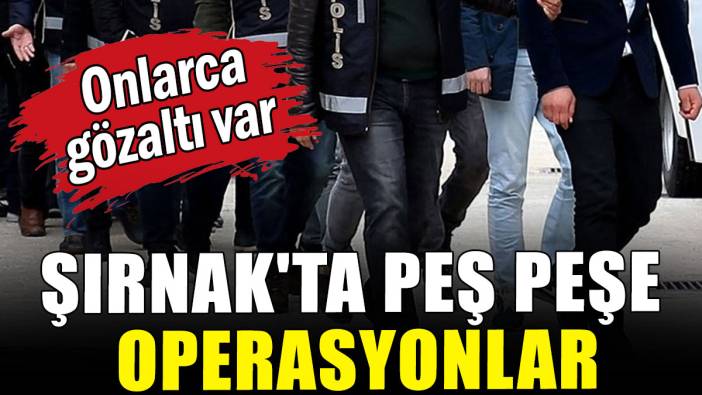 Şırnak'ta peş peşe operasyonlar: Onlarca gözaltı var