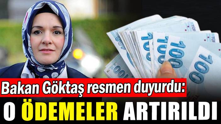 Sosyal ve Ekonomik Destek ödemeleri artırıldı! Sosyal ve Ekonomik Destek ödemeleri ne kadar oldu?