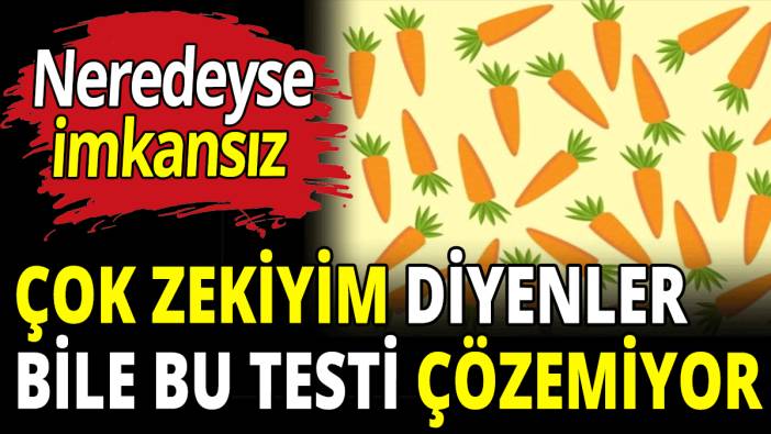 Çok zekiyim diyenler bile bu testi çözemiyor