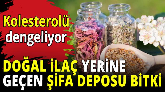 Doğal ilaç yerine geçen şifa deposu bitki! Kolesterolü dengeliyor