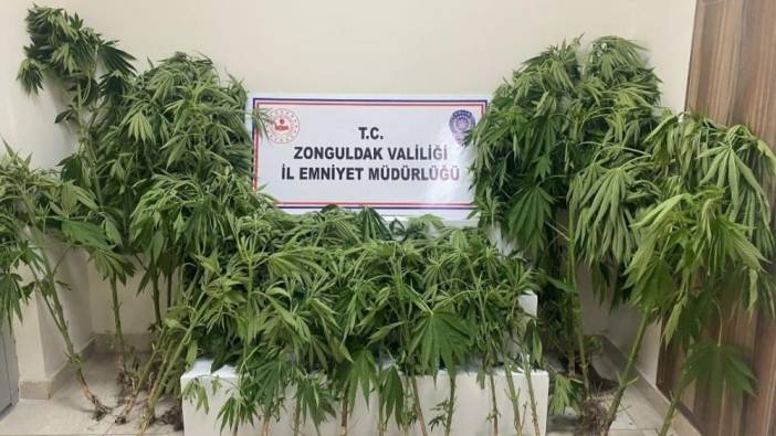 Zonguldak'ta uyuşturucu operasyonu: 1 tutuklama