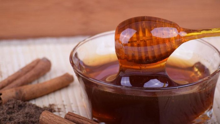 Türkiye dünyada bal üretiminde ikinci sıraya yükseldi