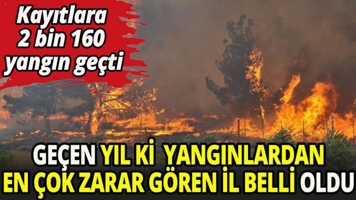 Türkiye'de geçen yıl ki yangınlardan en çok zarar gören il belli oldu