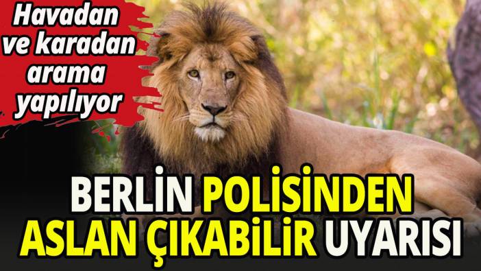Berlin polisinden aslan çıkabilir uyarısı