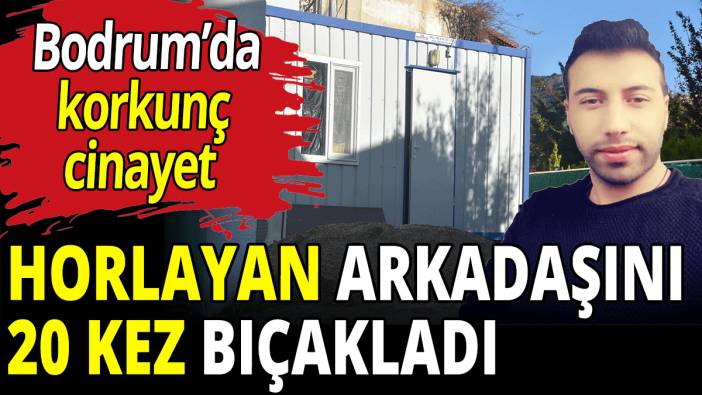 Horlayan arkadaşını 20 kez bıçakladı