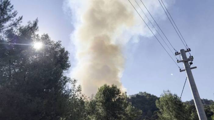 Alanya'da çıkan orman yangını kontrol altına alındı