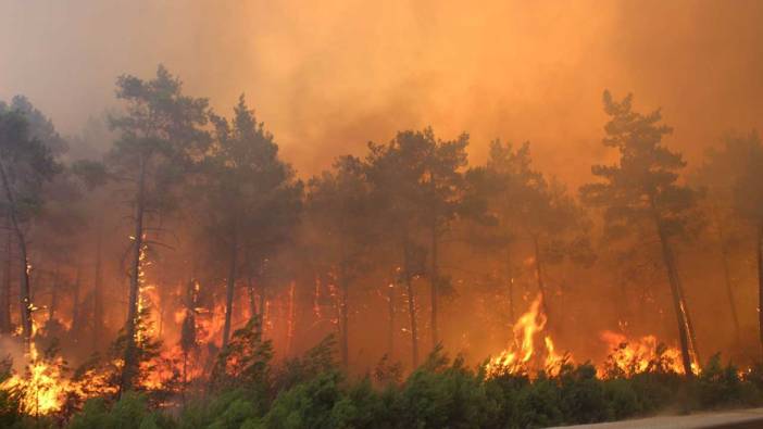 Tarım ve Orman Bakanı duyurdu! Son 10 günde kaç orman yangını meydana geldi?