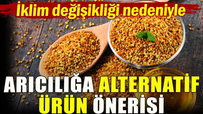 Arıcılara iklim değişikliği nedeniyle 'alternatif ürün' önerisi