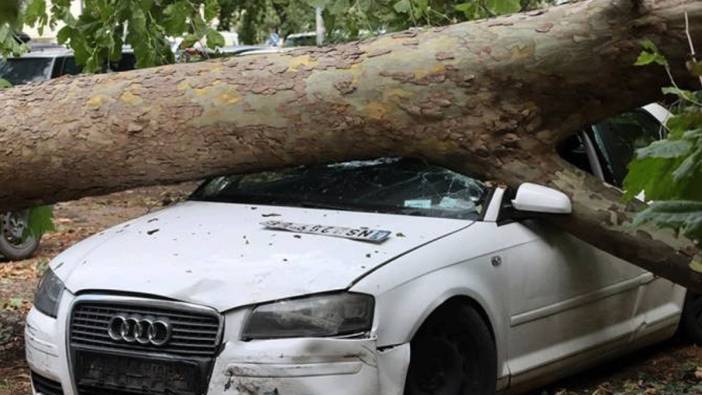 Sırbistan'da şiddetli yağışlar can aldı