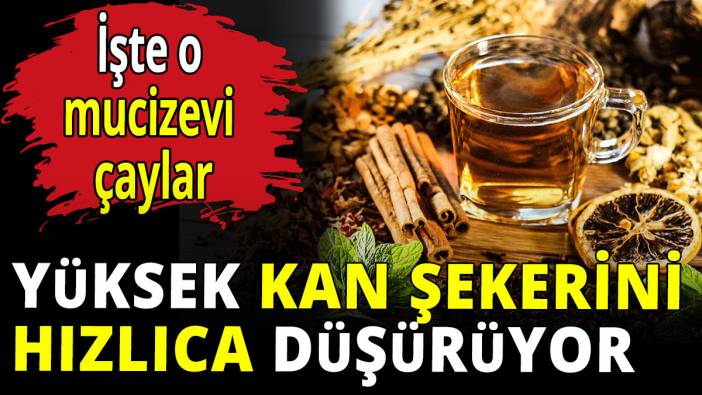Yüksek kan şekerini hızlıca düşürüyor! İşte o mucizevi çaylar