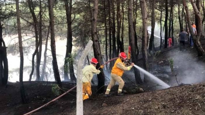 Adana Kozan'da orman yangını