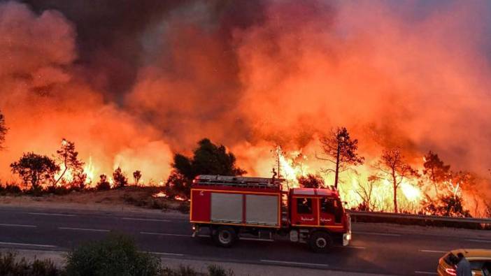 İtalya'daki orman yangınlarında 4 kişi hayatını kaybetti
