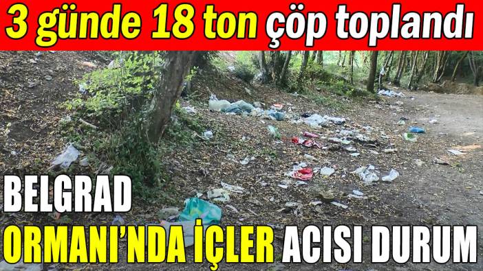 Belgrad Ormanı'nda 3 günde 18 top çöp toplandı