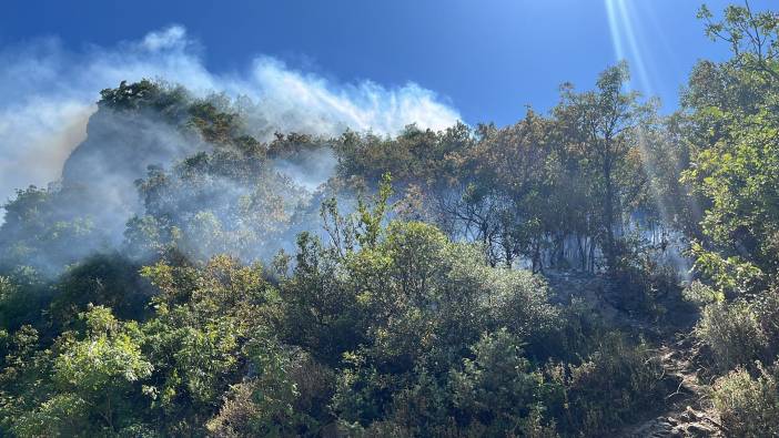 Uludağ'daki orman yangını kontrol altında