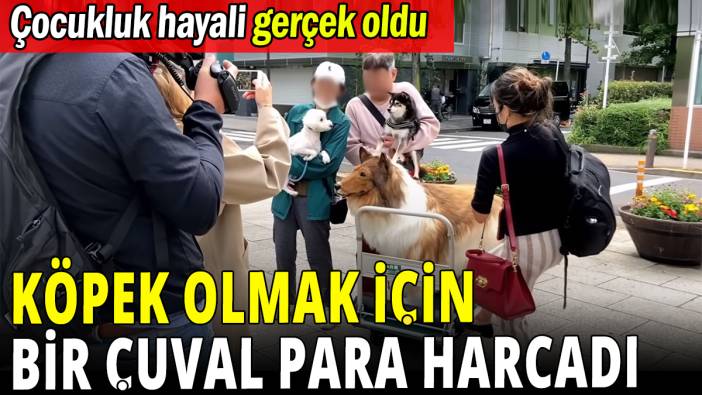 Köpek olmak için bir çuval para harcadı