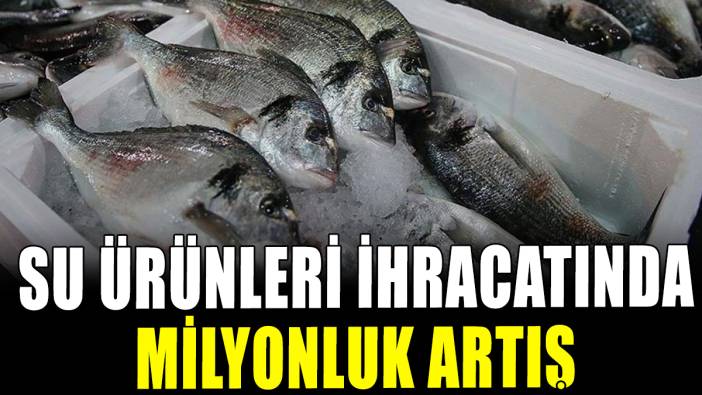 Su ürünleri ihracatında milyonluk artış