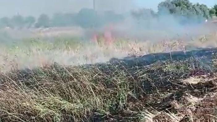 Adıyaman'da anız yangını: Çok sayıda hayvan telef oldu