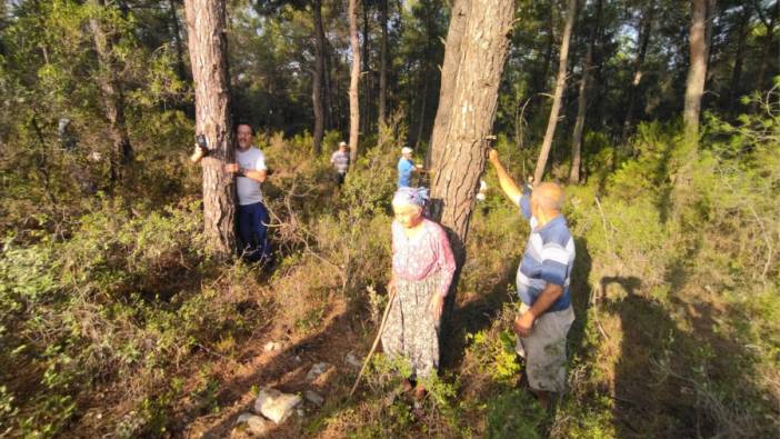 Akbelen'de kesim çalışmaları sona erdi