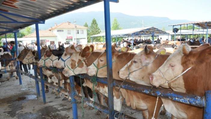 Kahramanmaraş'ta tedbir amaçlı şap karantinası başlatıldı