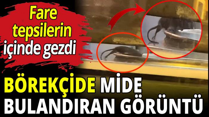 Börekçide mide bulandıran görüntü! Fare tepsilerin içinde gezdi