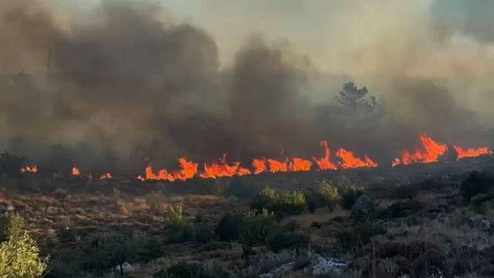 Bodrum Türkbükü'nde otluk alanda yangın çıktı