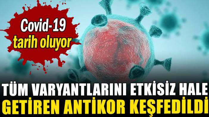 Covid-19 tarih oluyor: Tüm varyantlarını etkisiz hale getiren antikor keşfedildi