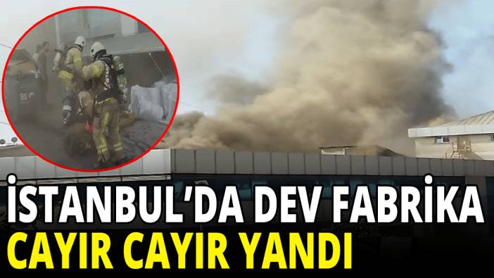 İstanbul'da dev fabrikada yangın