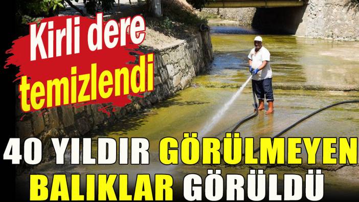 Dere temizlenince 40 yıldır görülmeyen balıklar görüldü