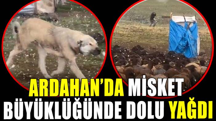 Ardahan'da misket büyüklüğünde dolu yağdı