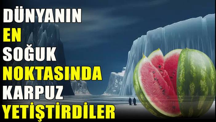 Dünyanın en soğuk noktasında karpuz yetiştirdiler