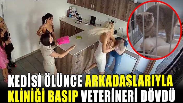 Kedisi ölünce arkadaşlarıyla kliniği basıp veterineri dövdü
