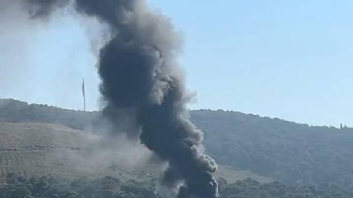 Heybeliada'da yangın