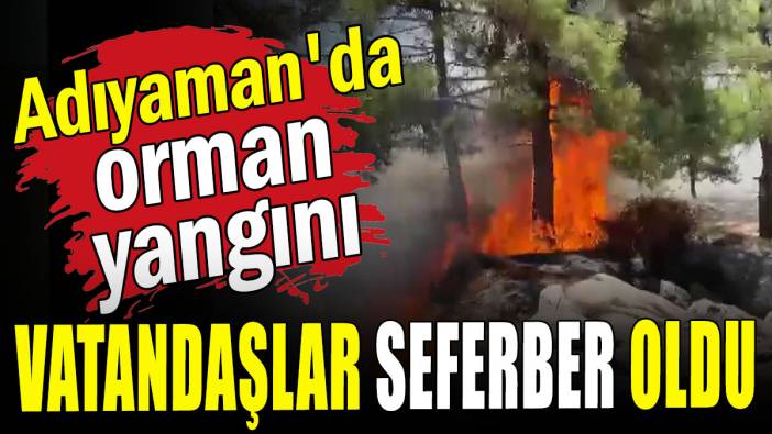 Adıyaman'da orman yangını: Vatandaşlar seferber oldu