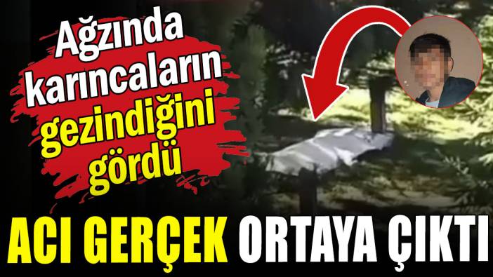 Ağzında karıncaların gezindiğini gördü: Acı gerçek ortaya çıktı