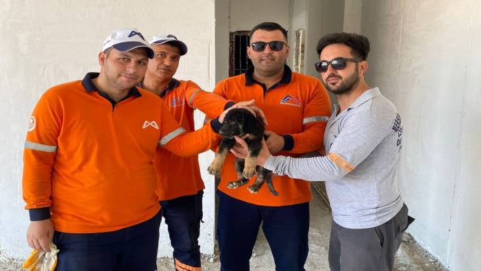 Gözleri görmeyen 2,5 aylık köpeği asansör kuyusundan kurtardılar