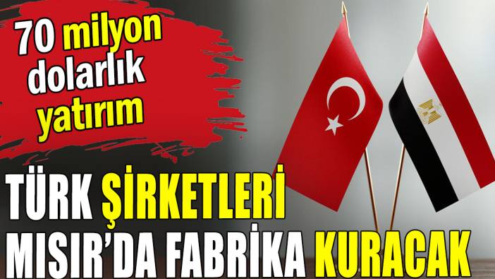 Türk şirketleri Mısır'da fabrika kuracak