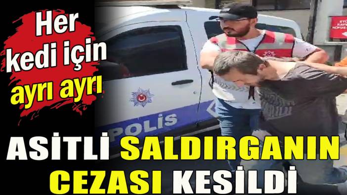 Asitle saldırganın cezası kesildi