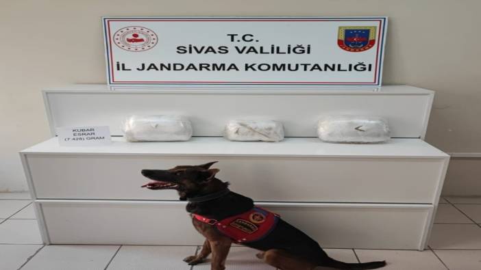 Narkotik köpeği 'Raket' uyuşturucu tacirlerini yakaladı