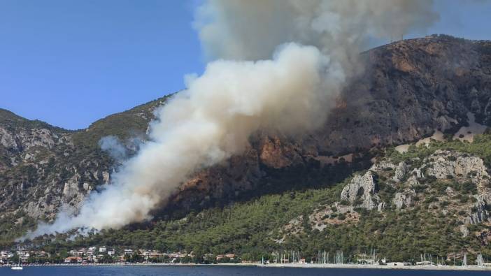 Muğla Milas'ta ormanlık alanda yangın