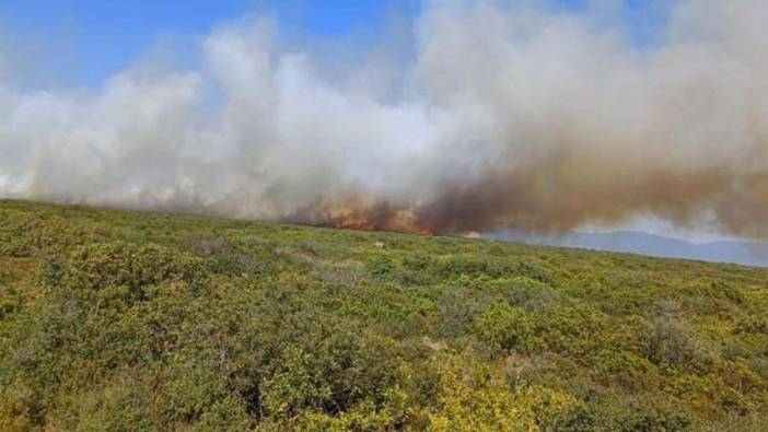 Didim'de maki yangını çıktı
