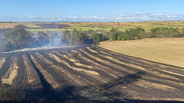 Tekirdağ'da 250 dönüm tarım alanı kül oldu