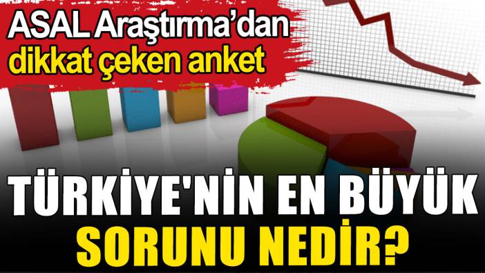 ASAL'dan dikkat çeken anket: Türkiye'nin en büyük sorunu nedir?