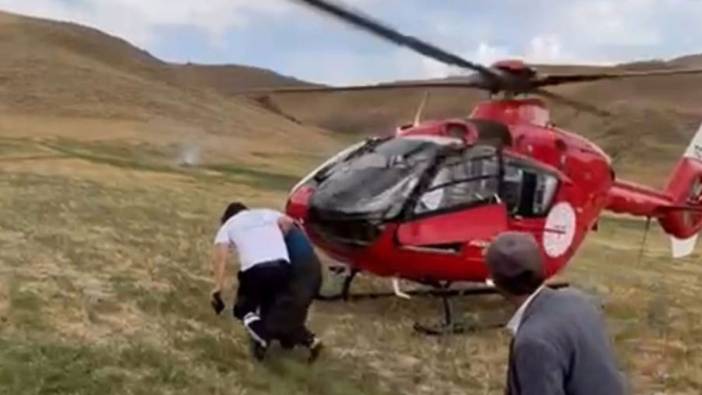 Van'da arı sokması sonucu fenalaşan kadın helikopterle hastaneye kaldırıldı