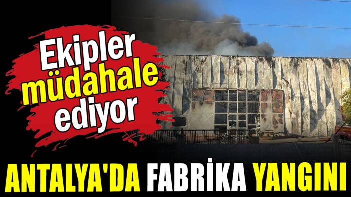 Antalya'da fabrika yangını: Ekipler müdahale ediyor
