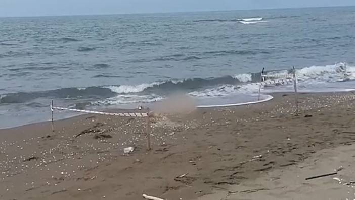 Samsun'da denizde erkek cesedi bulundu