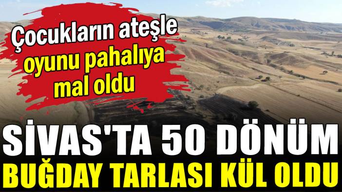 Sivas'ta 50 dönüm buğday tarlası kül oldu