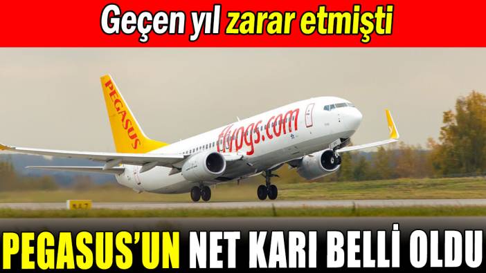 Pegasus'un net karı belli oldu