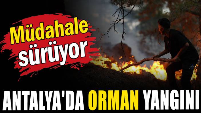 Antalya'da orman yangını: Müdahale sürüyor